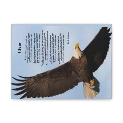 I Soar Inspirational Canvas Art Print, Home Decor, Wall Art, Gift for Her, Motivational Artwork, Religious Wall Decor, Textured Canvas