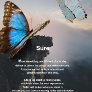 Sure / Plush Fleece Blanket